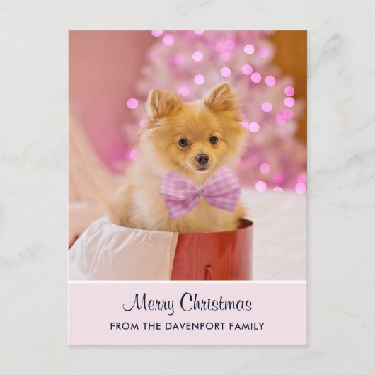 ピンクのボウ&ツリーの可愛いクリスマス犬の写真 ポストカード (正面)