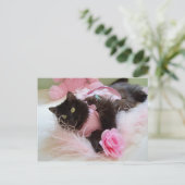 ピンクのポストカードにウインク ポストカード (スタンド正面)