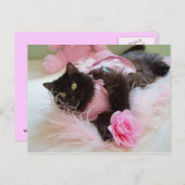 ピンクのポストカードにウインク ポストカード (正面/裏面)