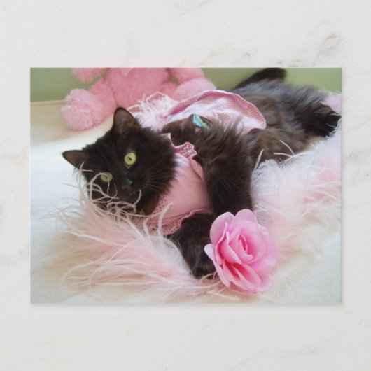 ピンクのポストカードにウインク ポストカード (正面)