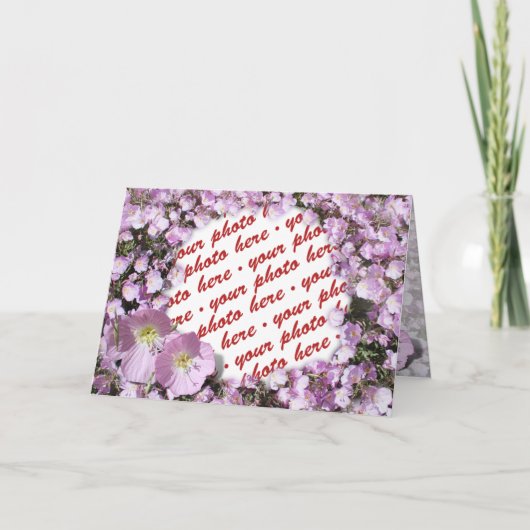 ピンクのポピーのフォトフレーム カード (正面)