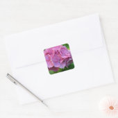 ピンクのポンポン紫陽花 ハイドレンジアの花 スクエアシール (封筒)