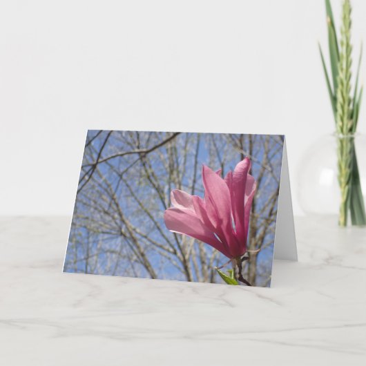 ピンクのマグノリアの花の写真 – カー空白のド サンキューカード (正面)