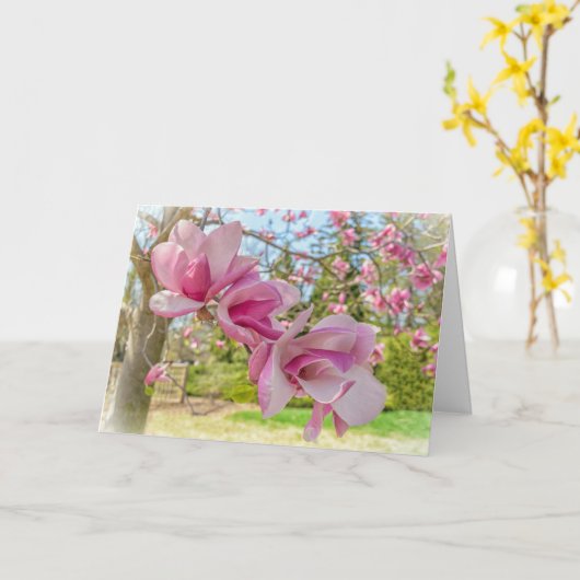 ピンクのマグノリア花の写真グリーティングカード カード (黄色い花)