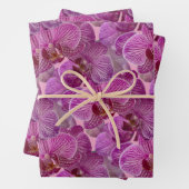 ピンクのマゼンタの蘭の花のパターン ラッピングペーパーシート (インサイチュ)