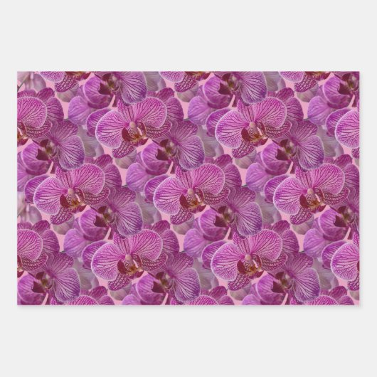 ピンクのマゼンタの蘭の花のパターン ラッピングペーパーシート (正面)