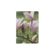 ピンクのマンゴリアの花 