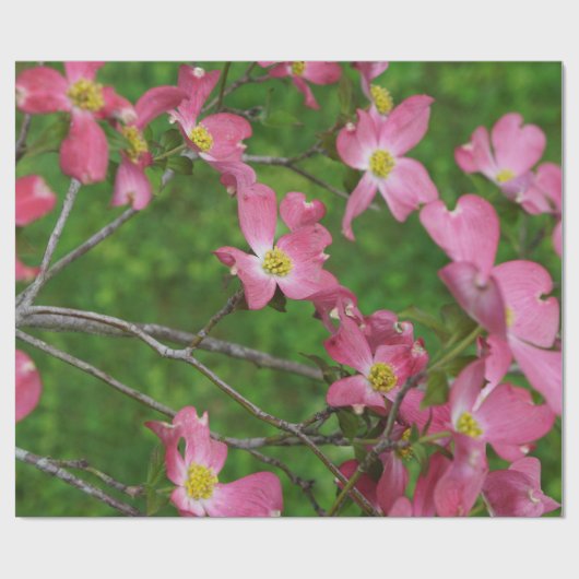 ピンクのミズキのギフトの包装紙 ラッピングペーパー (フラット)