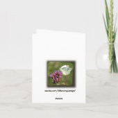 ピンクのミズキのサンキューカード サンキューカード (裏面)