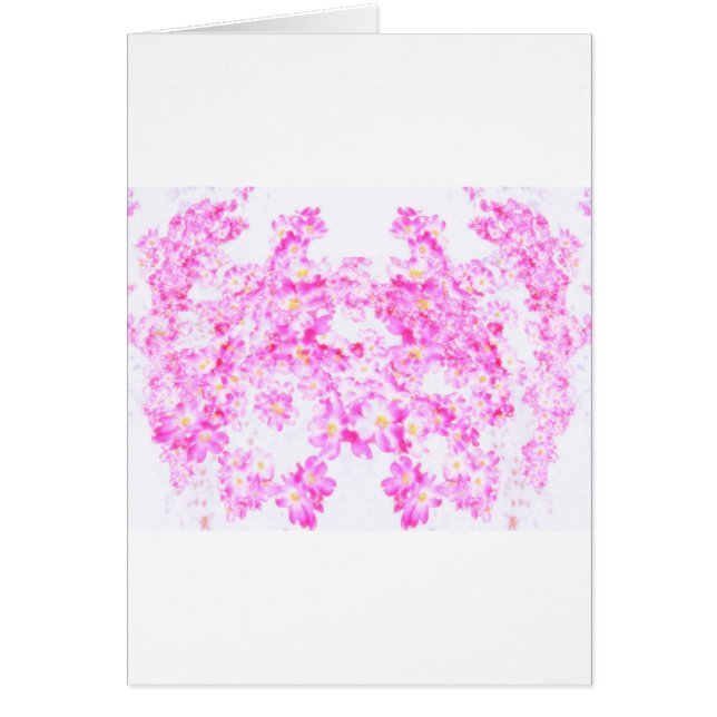 ピンクのミズキの花 (正面)