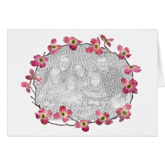 ピンクのミズキの花 (正面横)