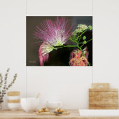 ピンクのミモザの花と茶色の写真ポスター ポスター (キッチン)