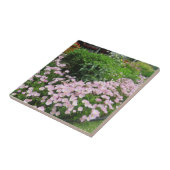 ピンクのメキシコ夕べプリムローズ タイル (側面)