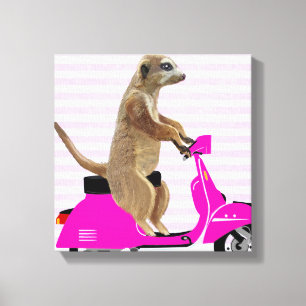 ピンクのモペットのMeerkat キャンバスプリント