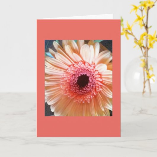 ピンクのモモのデイジーの花のブランクの中のメッセージカード カード (黄色い花)