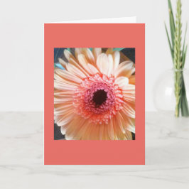 ピンクのモモのデイジーの花のブランクの中のメッセージカード カード