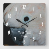 ピンクのモルカンのオウム動物 スクエア壁時計 (正面)