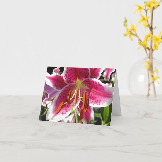 ピンクのユリのピンクのフローラピンクの花の熱帯花 カード (黄色い花)