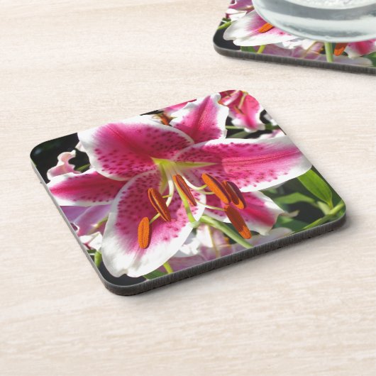 ピンクのユリのピンクのフローラピンクの花の熱帯花 コースター (左側)