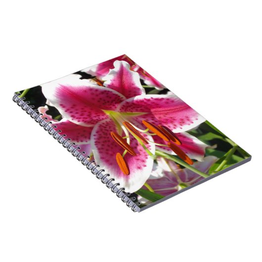 ピンクのユリのピンクのフローラピンクの花の熱帯花 ノートブック (右側)