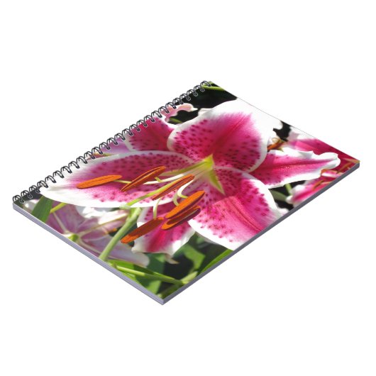 ピンクのユリのピンクのフローラピンクの花の熱帯花 ノートブック