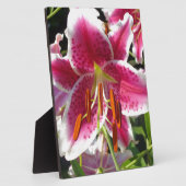 ピンクのユリのピンクのフローラピンクの花の熱帯花 フォトプラーク (側面)