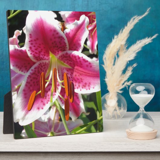 ピンクのユリのピンクのフローラピンクの花の熱帯花 フォトプラーク (側面)