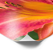 ピンクのユリの花のクローズアップ・マクロ フォトプリント            (角)