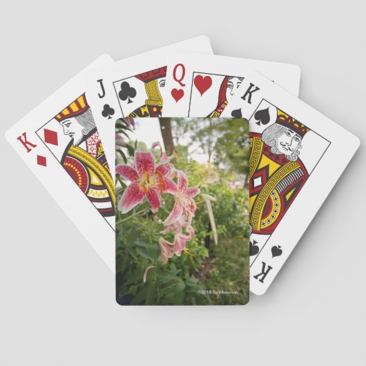 ピンクのユリ トランプ (裏面)