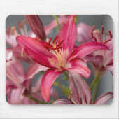 ピンクのユリ、植物の花の写真 マウスパッド (正面)