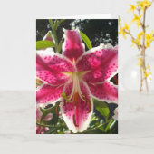 ピンクのライリピンクの熱帯花ピンクのフローラ カード (黄色い花)