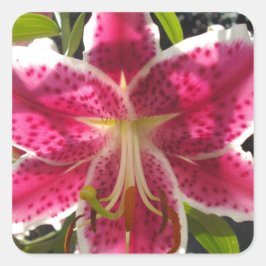 ピンクのライリピンクの熱帯花ピンクのフローラ スクエアシール