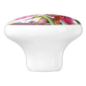 ピンクのライリピンクの熱帯花ピンクのフローラ セラミックノブ (側面)