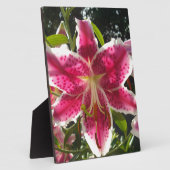 ピンクのライリピンクの熱帯花ピンクのフローラ フォトプラーク (側面)