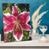 ピンクのライリピンクの熱帯花ピンクのフローラ フォトプラーク (側面)