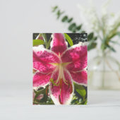ピンクのライリピンクの熱帯花ピンクのフローラ ポストカード (スタンド正面)