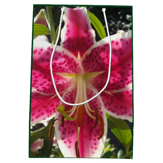 ピンクのライリピンクの熱帯花ピンクのフローラ ミディアムペーパーバッグ (裏面)