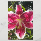 ピンクのライリピンクの熱帯花ピンクのフローラ 便箋 (正面)