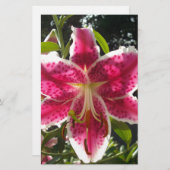 ピンクのライリピンクの熱帯花ピンクのフローラ 便箋