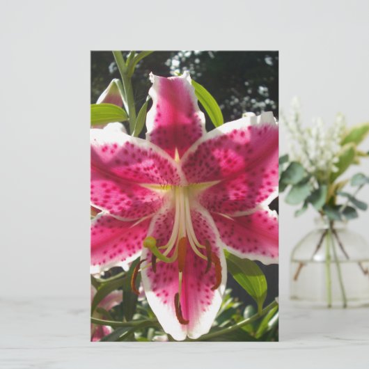 ピンクのライリピンクの熱帯花ピンクのフローラ 便箋 (スタンド正面)