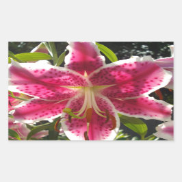 ピンクのライリピンクの熱帯花ピンクのフローラ 長方形シール