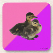ピンクのラズベリーとパープルのソルベにいる赤ちゃんアヒル コースター (正面)
