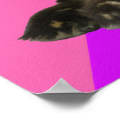 ピンクのラズベリーとパープルのソルベの上の子ガモ ポスター (角)