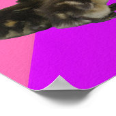 ピンクのラズベリーと紫色のソルベの上の赤ちゃんガチョウ ポスター (角)