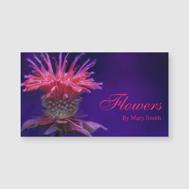 ピンクのラズベリーワインビーバームフラワーオンパープル (正面)