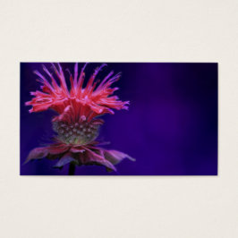 ピンクのラズベリーワインビーバームフラワーオンパープル