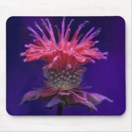 ピンクのラズベリーワインビーバームフラワーオンパープル マウスパッド