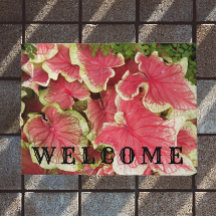 ピンクのラッフルカラジ離れウムフローラ歓迎