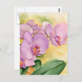 ピンクのラベンダーファレノプシス蘭の花 ポストカード (正面/裏面)