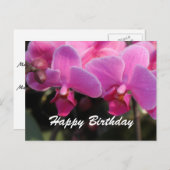 ピンクのランの美しい花。誕生日の希望 ポストカード (正面/裏面)
